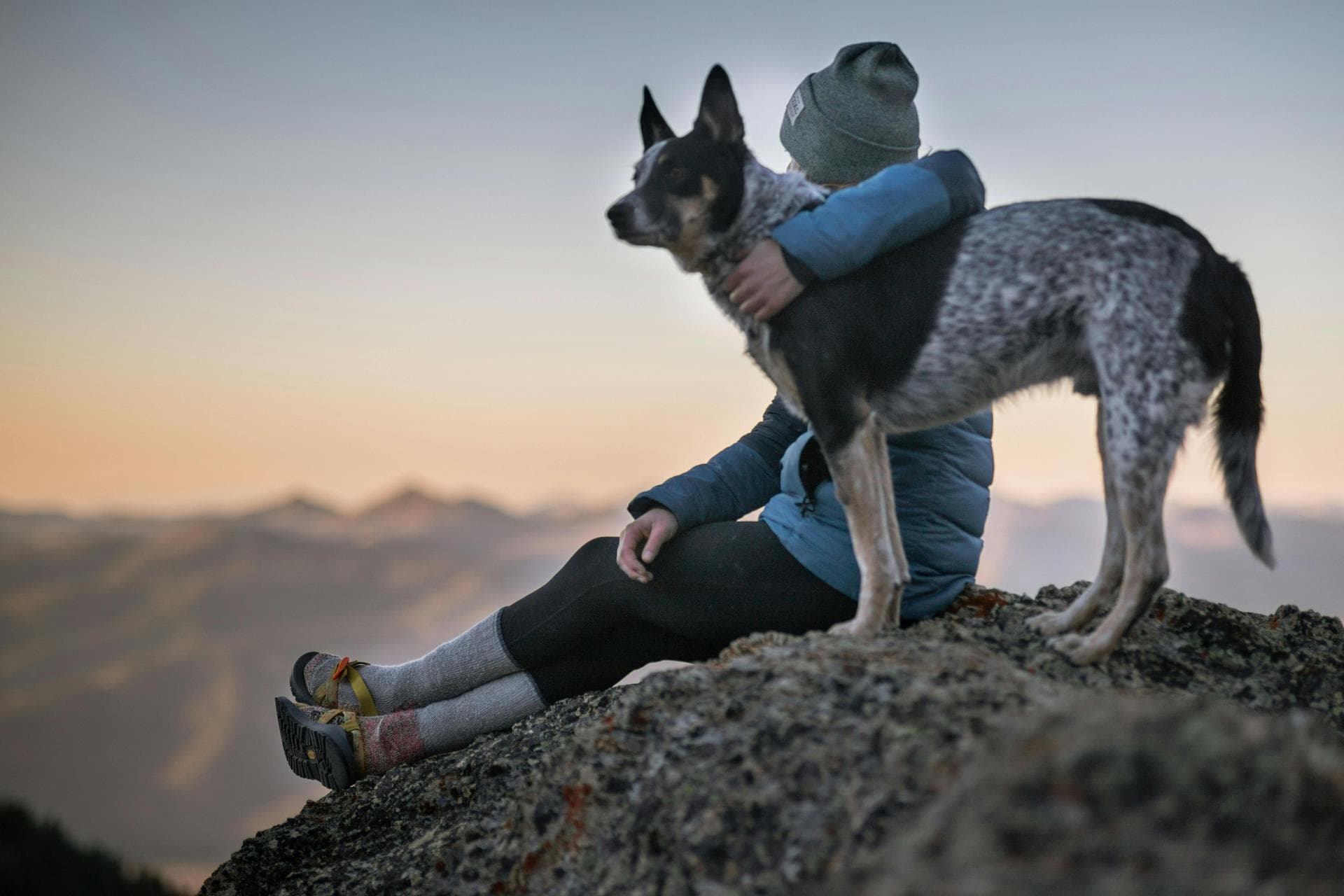 Specialist Vets in Milton Keynes