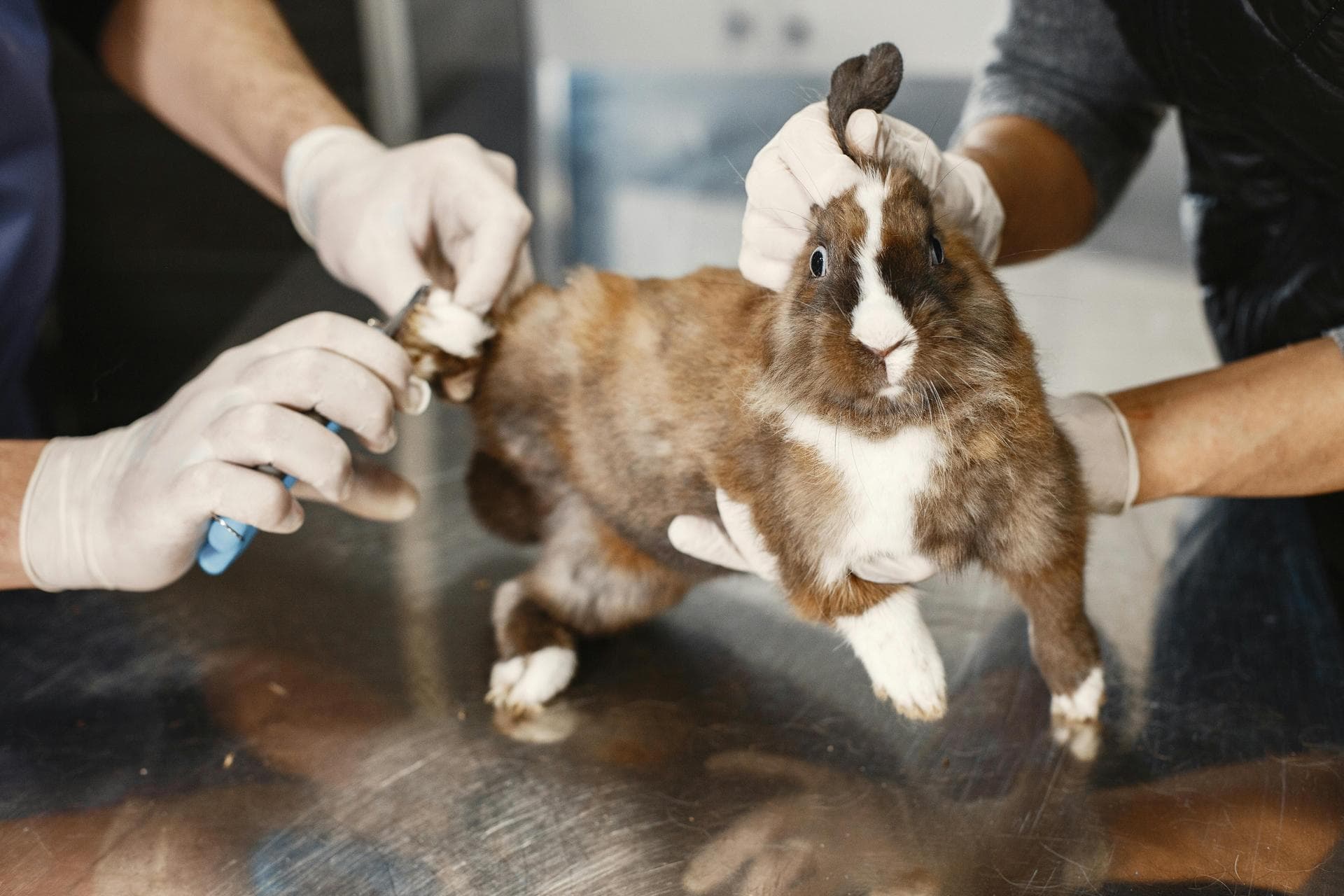 Annual Vaccination Booster Prices in Milton Keynes